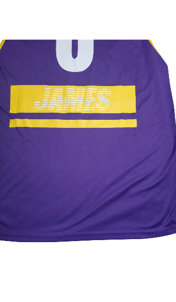 Los Angeles Lakers NBA XXL used Lebron James Jersey #6