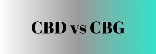 What Are The Differences Between CBD and CBG?
