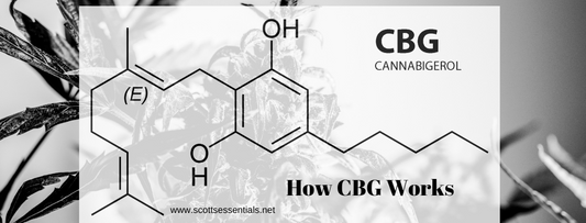 How Does CBG Work?