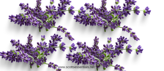 Bliss of Lavender Bath Salts