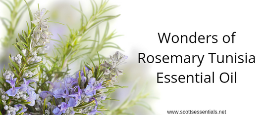Wonders of Rosemary Tunisia Essential Oil
