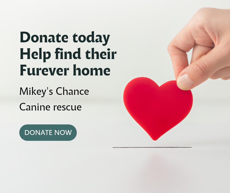 Mikey's chance fundraiser