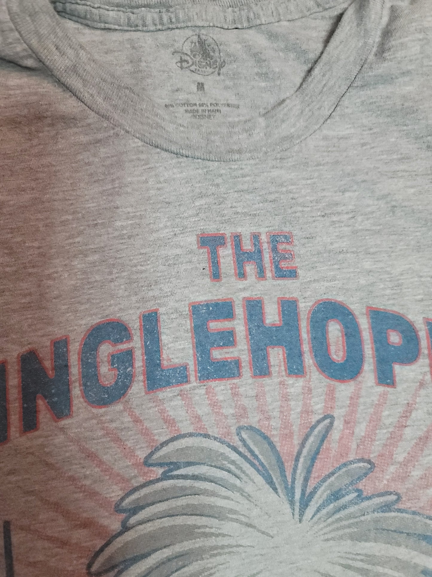 "The Dinglehopper Hair Salon" gray Disney t-shirt Youth M
