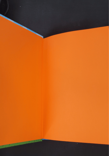 Close-up of an orange Inside of book