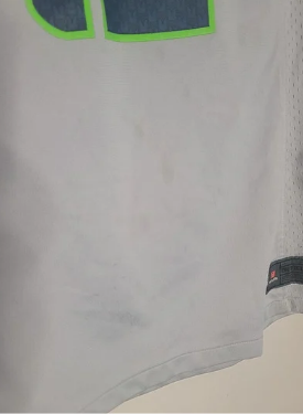 Gray Seattle Seahawks Fan sports jersey with green accents