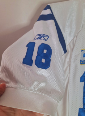 White sports jersey with blue number 18 held by a hand against a white background